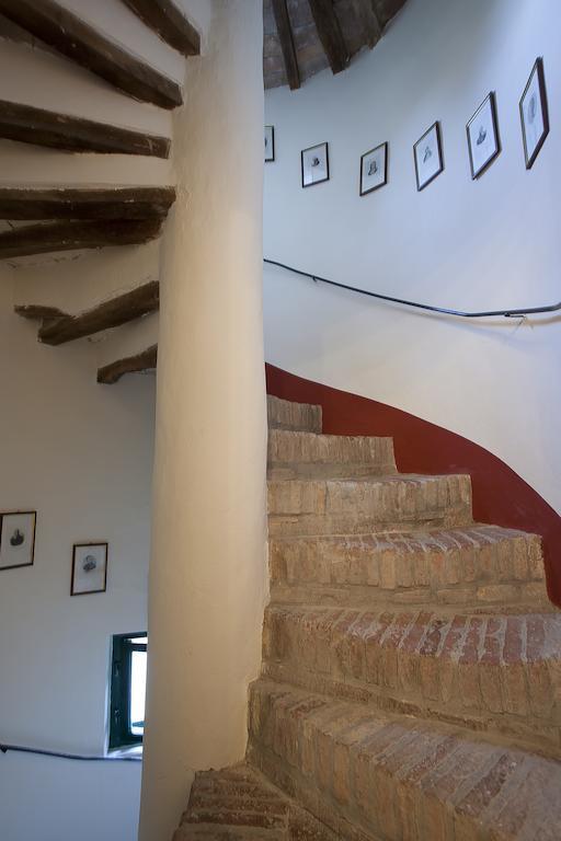 카살레 마리티모 Fattoria Della Gioiosa - Agriturismo La Gelinda 게스트하우스 외부 사진